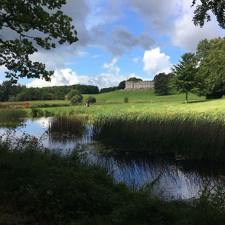 Curraghchase Cottage Kilcornan Eksteriør billede