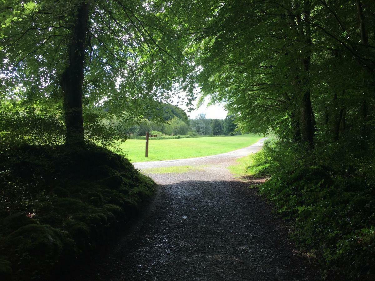 Curraghchase Cottage Kilcornan Eksteriør billede